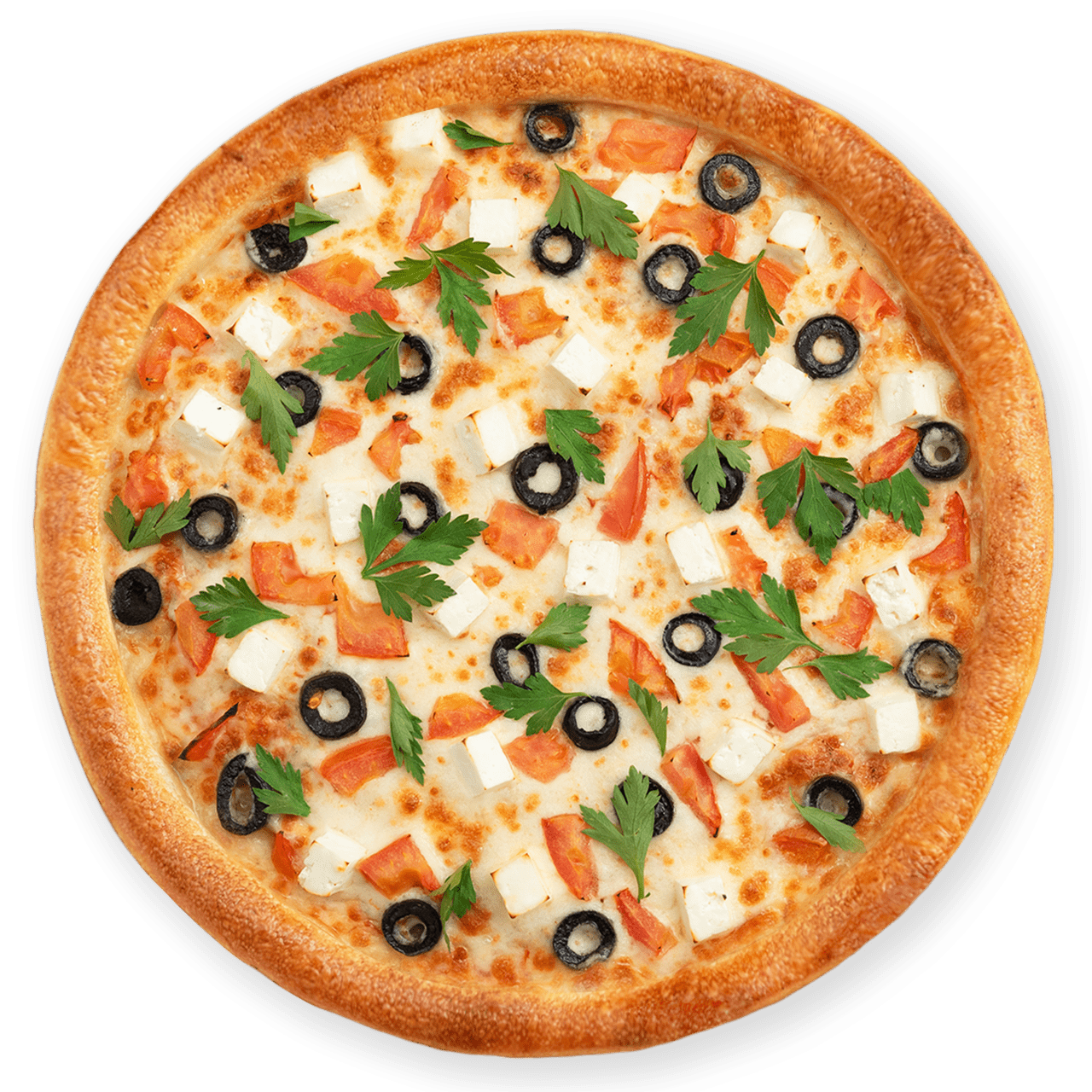 Akdeniz Pizza (Büyük Boy)