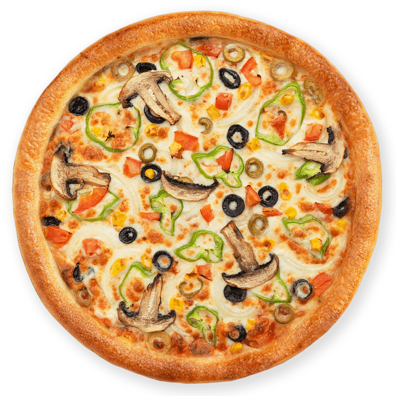 Vegetarian Pizza (Büyük Boy)